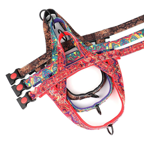 No-Pull Nylon Dog Harness – Padded Walking Vest — customer photo