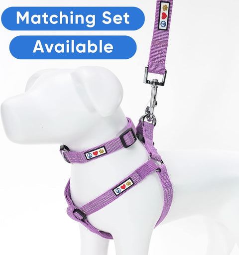 Reflective Dog Leash – 6 Ft, XS/S — customer photo