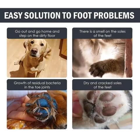 Waterless Paw Cleaner Foam for Dogs & Cats — customer photo