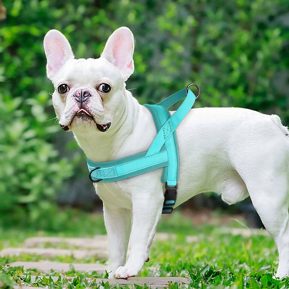 Nylon Dog Harness No Pull Dog Harnesses Vest Soft Padded Pet Walking Vests Harnesses Durable for Small Medium Large Dogs Pug
