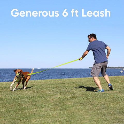 Reflective Dog Leash – 6 Ft, XS/S — customer photo