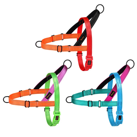 No-Pull Nylon Dog Harness – Padded Walking Vest — customer photo