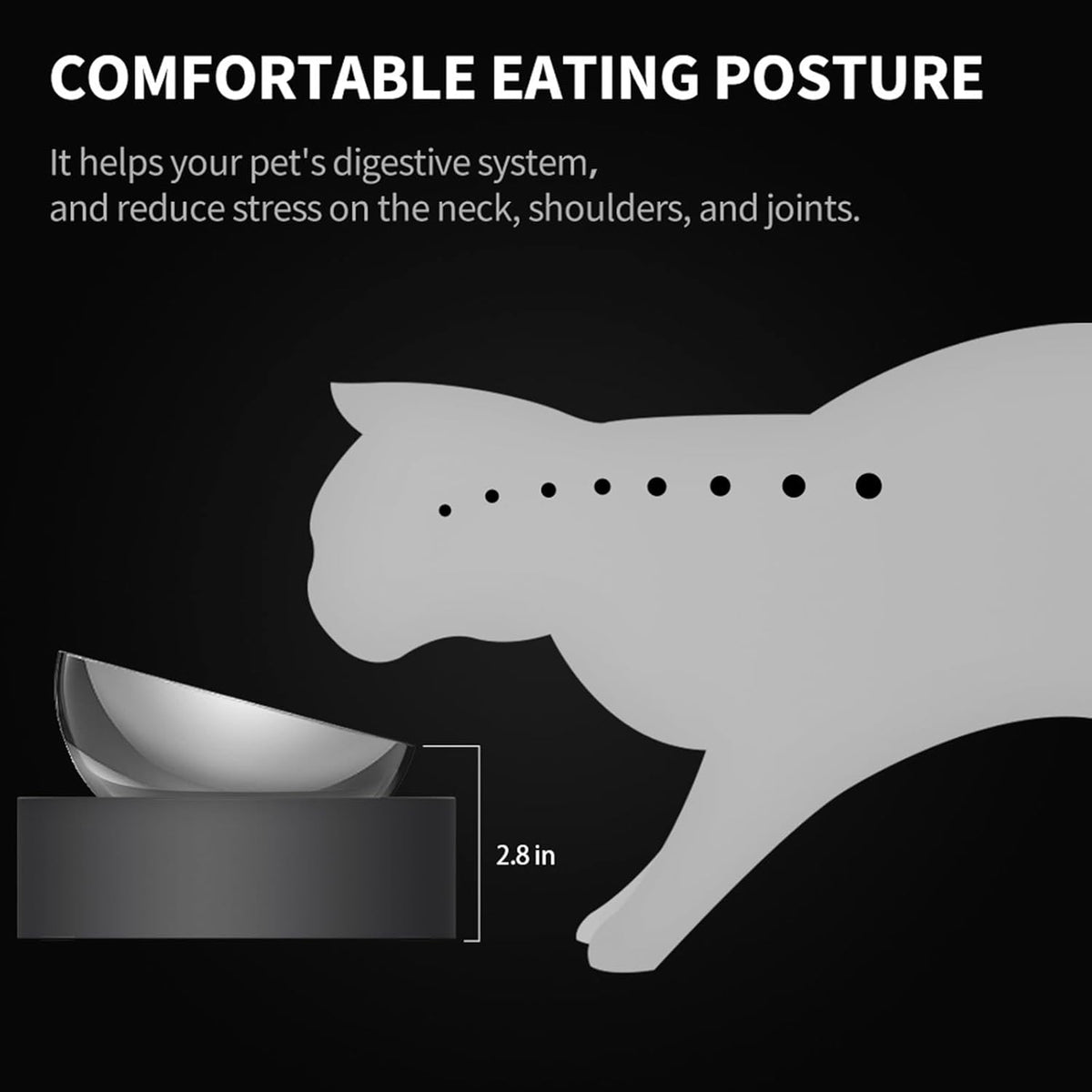 Elevated Stainless Steel Pet Bowl Set