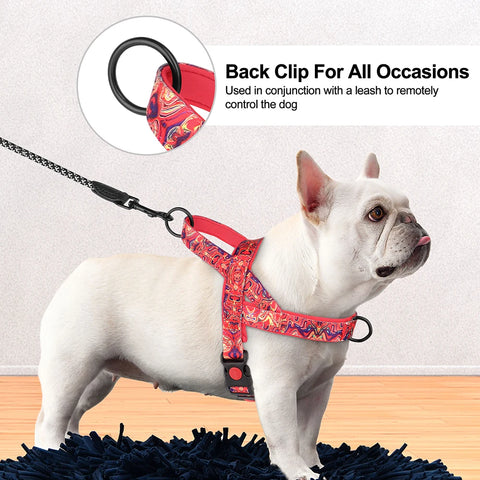 No-Pull Nylon Dog Harness – Padded Walking Vest — customer photo