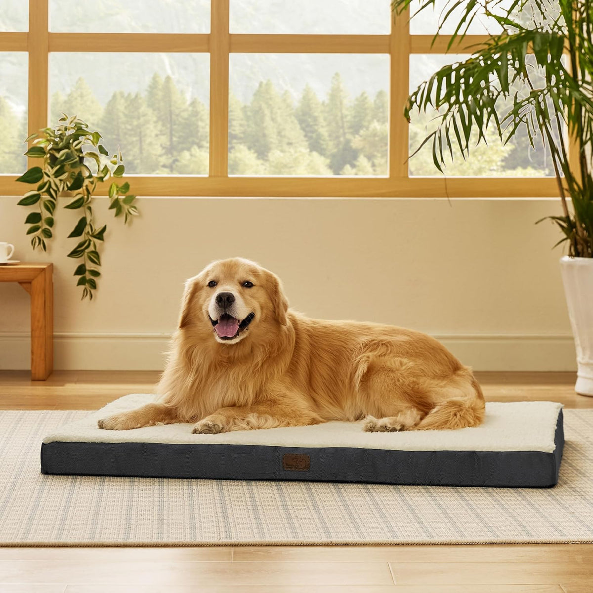 Bedsure XL Dog Bed, Extra Large Pet Bed with Comfy Sherpa,44X32In Grey | Orthopedic Egg Crate Foam,Comfort Support Flat Rectangle Pet Mat,Non-Slip Bottom,Removable Cover,For Extra Pet up to 80 Lbs