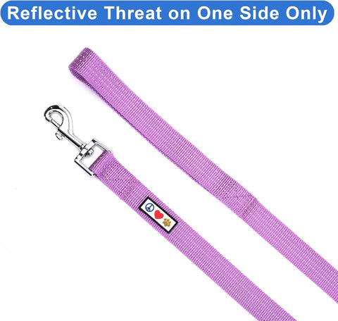 Reflective Dog Leash – 6 Ft, XS/S — customer photo