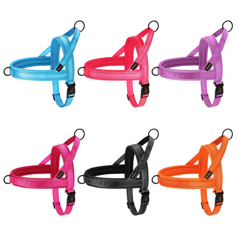 No-Pull Nylon Dog Harness – Padded Walking Vest — customer photo
