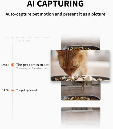 Dual-Hopper Smart Pet Feeder with AI Camera — customer photo