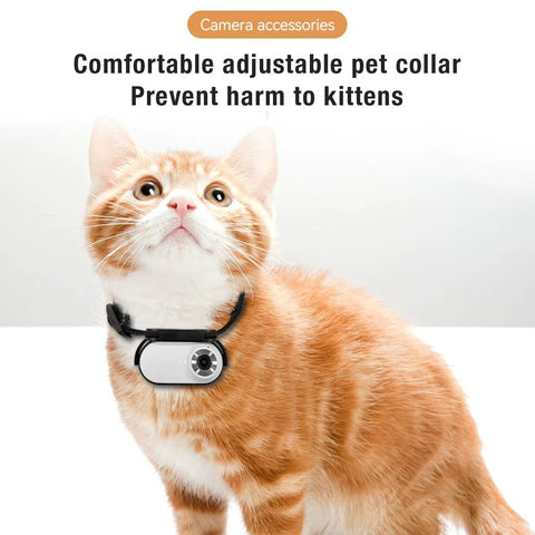 Pet Collar Camera – 120° Wide-Angle Lens — customer photo
