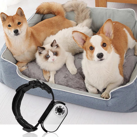 Pet Collar Camera – 120° Wide-Angle Lens — customer photo